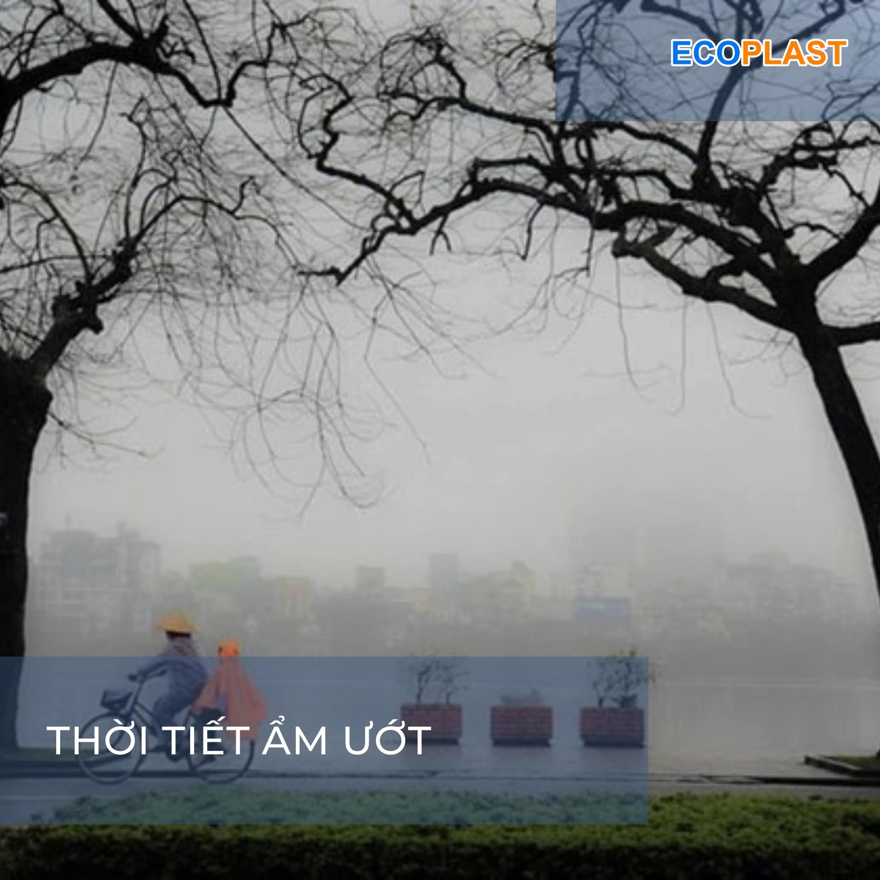 Thời tiết nồm ẩm là gì ? Nguyên nhân ? Cách khắc phục ? 2 THOI TIET AM UOT